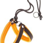 PETTORINA AGILA FLUO 4 Arancio