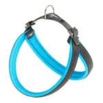 PETTORINA AGILA FLUO 4 Blu