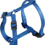 PETTORINA CHAMPION Large Blu