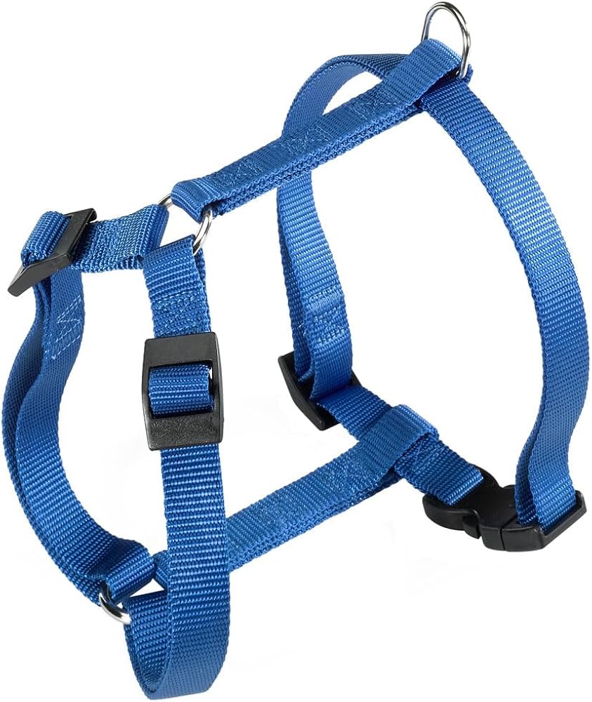 PETTORINA CHAMPION Large Blu PETTORINA CHAMPION Large Blu
