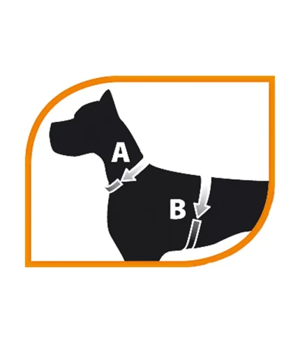 PETTORINA CHAMPION Large Nera