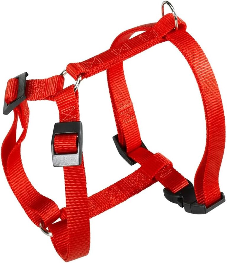PETTORINA CHAMPION Medium Rossa