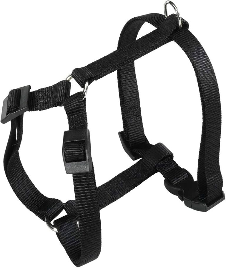 PETTORINA CHAMPION XL Nera
