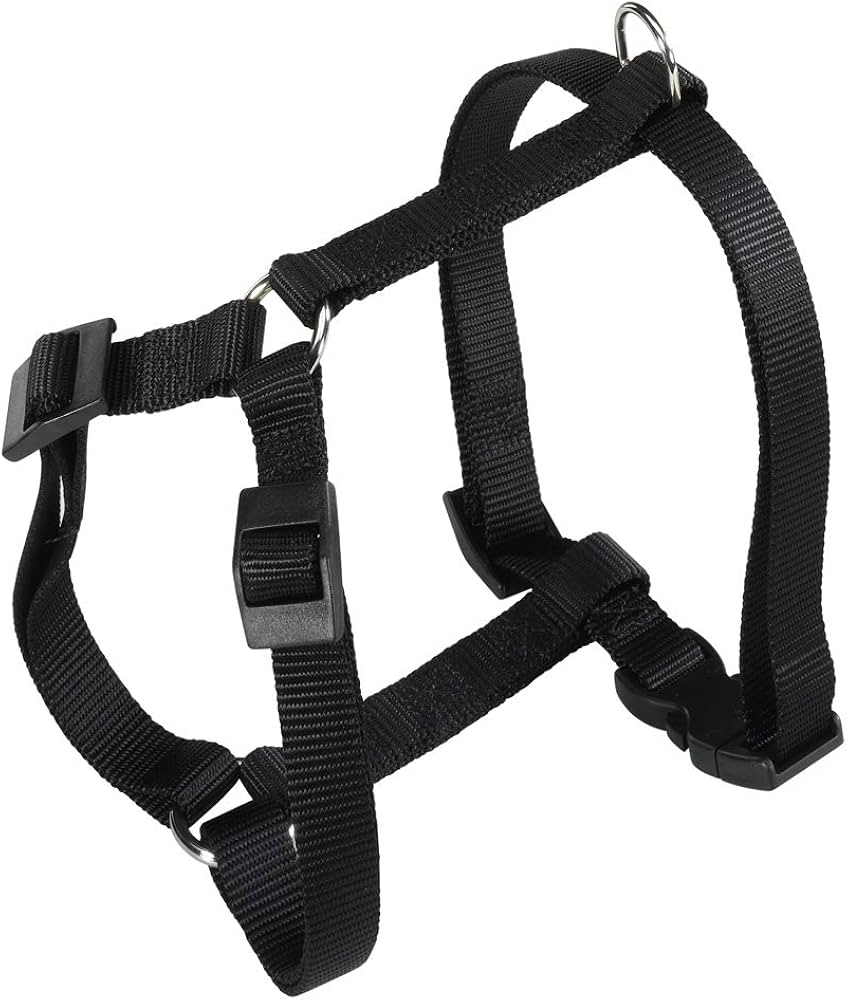 PETTORINA CHAMPION XL Nera PETTORINA CHAMPION XL Nera