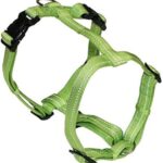 PETTORINA CHAMPION XL Verde O.