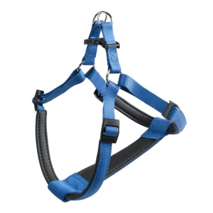 PETTORINA DAYTONA Large Blu