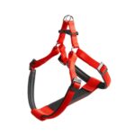 PETTORINA DAYTONA Large Rossa
