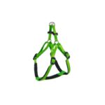 PETTORINA DAYTONA Large Verde O.