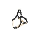 PETTORINA DAYTONA Medium Nera