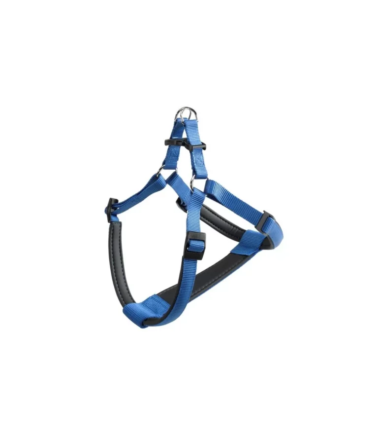 PETTORINA DAYTONA Small Blu