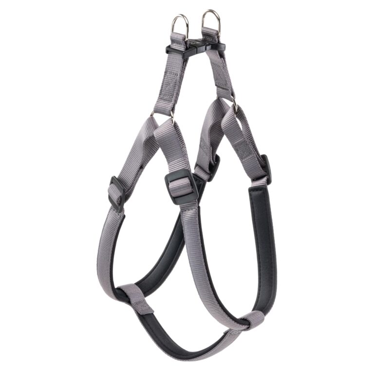 PETTORINA DAYTONA Small Grigio