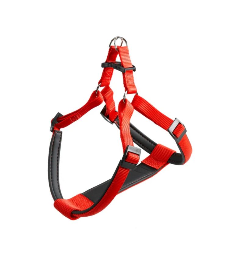 PETTORINA DAYTONA Small Rossa