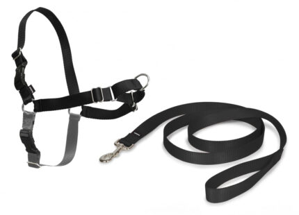 PETTORINA EASY Small Grigia Scura