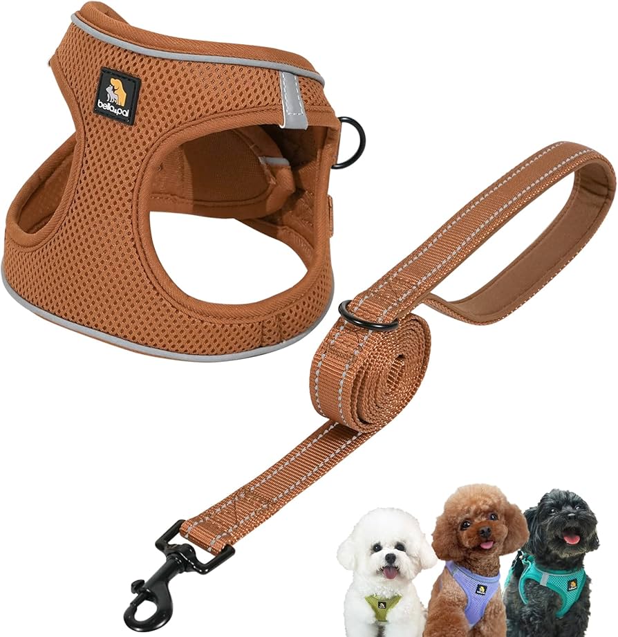 PETTORINA EASY Small Marrone PETTORINA EASY Small Marrone