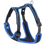 PETTORINA ERGOCOMFORT XLarge Blu