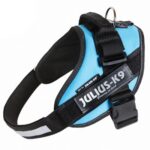 PETTORINA JULIUSK9 Mis.0 cm 58-76 Acqua