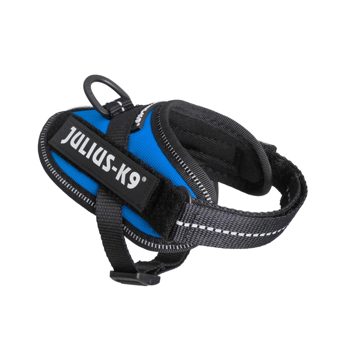 PETTORINA JULIUSK9 Mis.XXXS cm 29-36 Blu PETTORINA JULIUSK9 Mis.XXXS cm 29-36 Blu