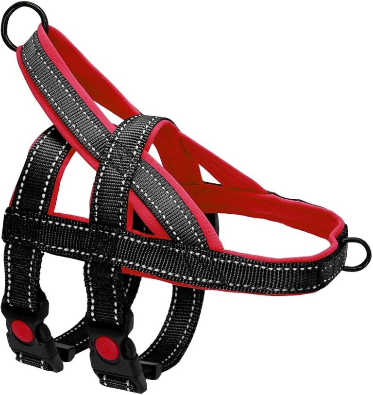 PETTORINA NYLON ADDESTRAMENTO Large