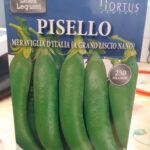 PISELLO MERAVIGLIA D'ITALIA NANO gr 250