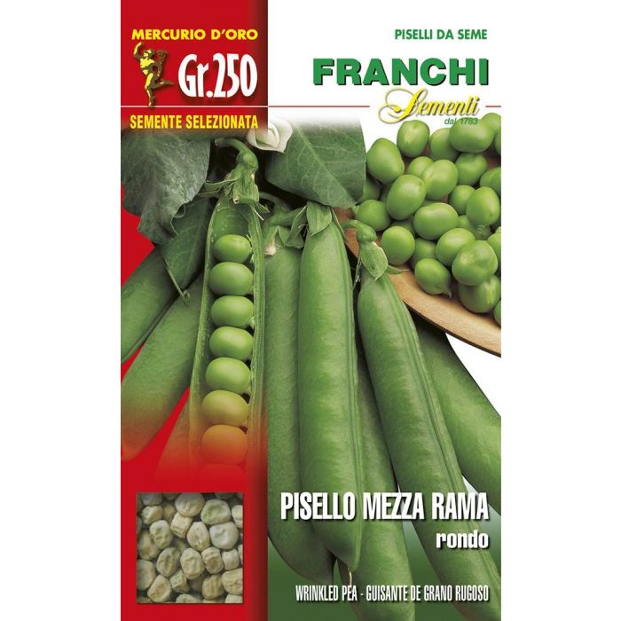 PISELLO MEZZA RAMA RONDO gr 250 Franchi PISELLO MEZZA RAMA RONDO gr 250 Franchi