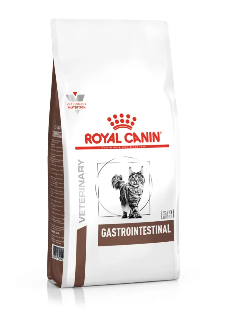PVD CAT EN gr 400 Gastrointestinal Flash