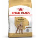 RC (BARBONCINO) POODLE ADULT kg 1.5