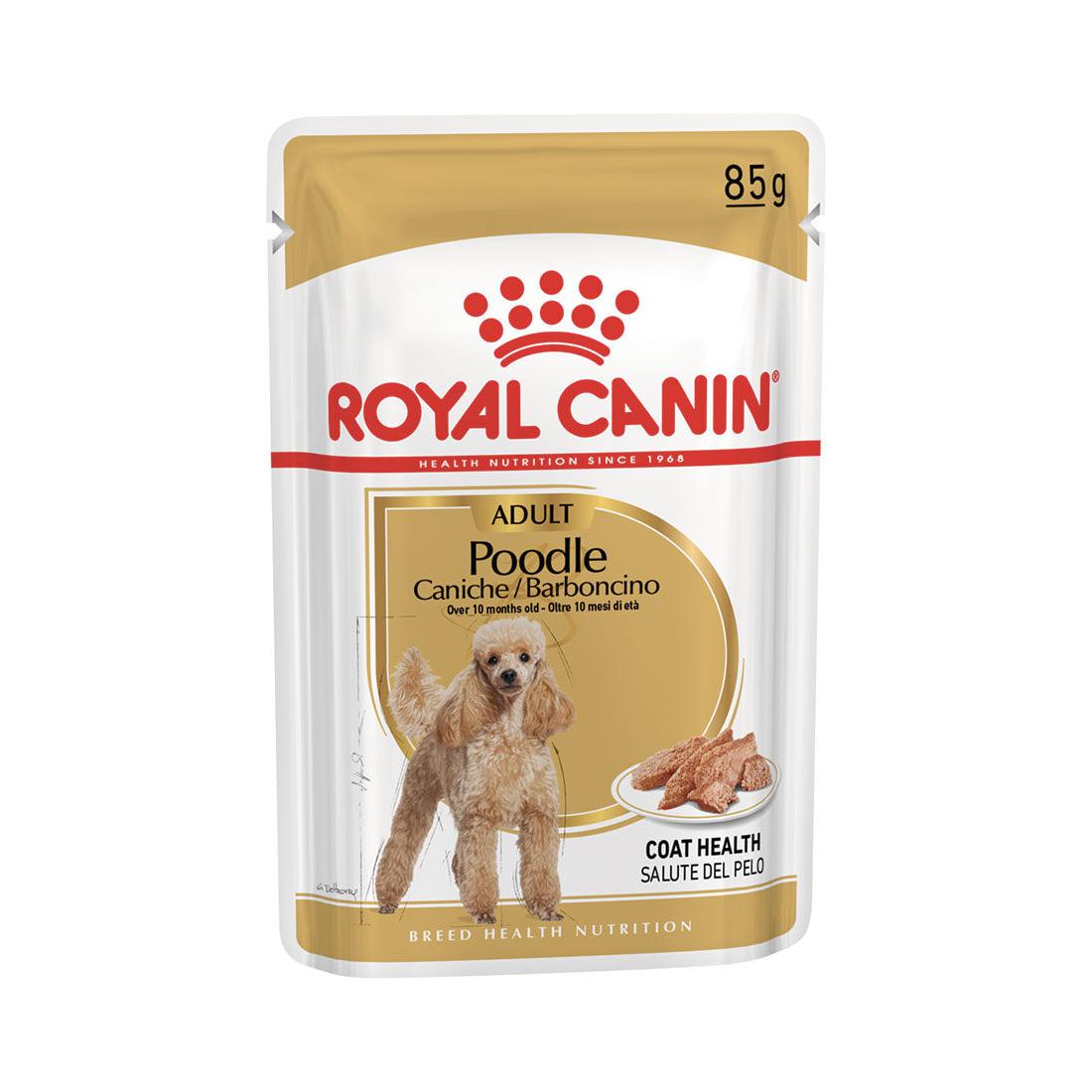 RC BARBONCINO (POODLE) gr 85 RC BARBONCINO (POODLE) gr 85