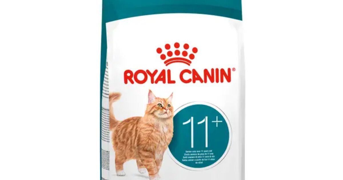 RC CAT AGEING 11+ gr 400 RC CAT AGEING 11+ gr 400