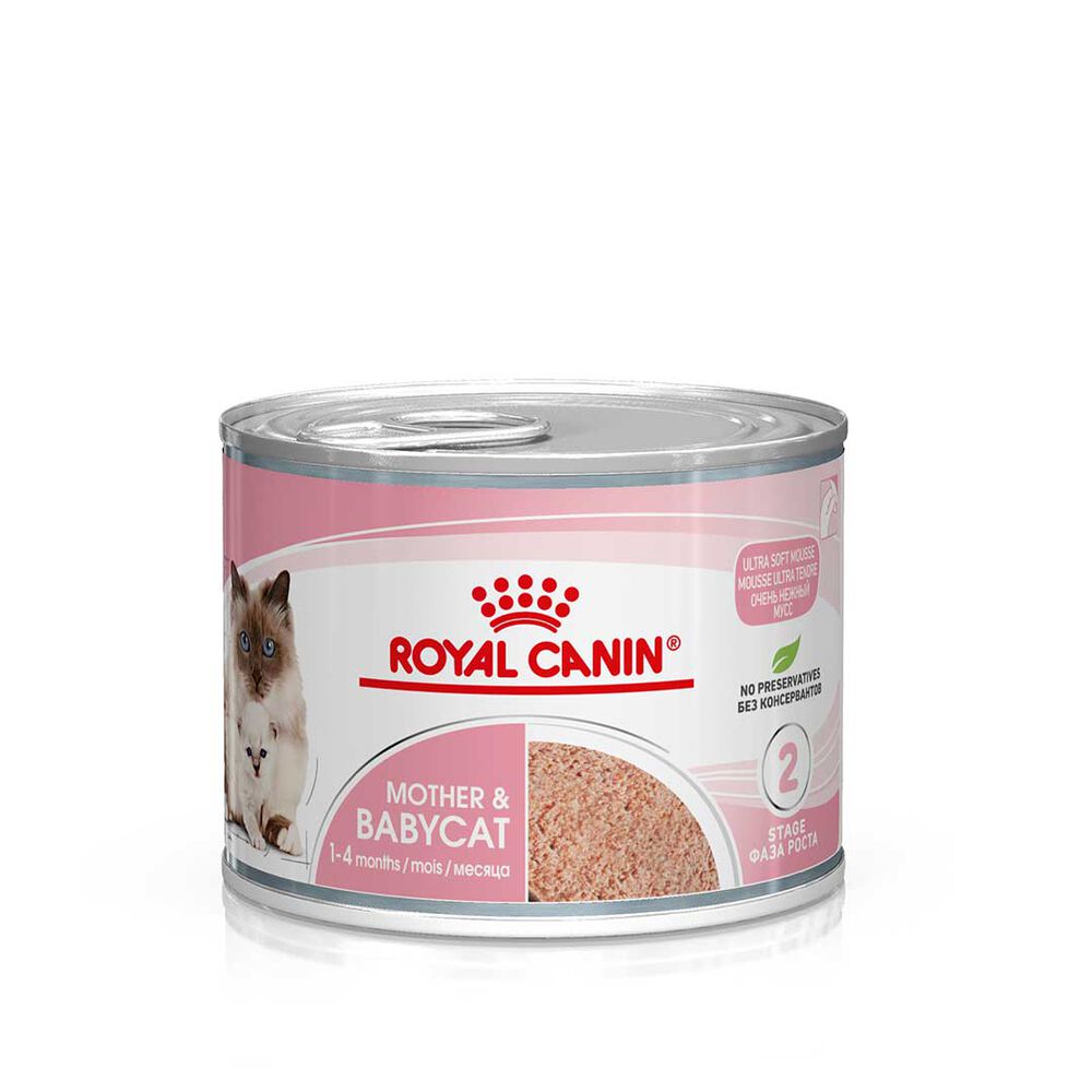 RC CAT BABY INSTINCTIVE gr 195 RC CAT BABY INSTINCTIVE gr 195