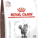 RC CAT GASTROINTESTINAL kg 2