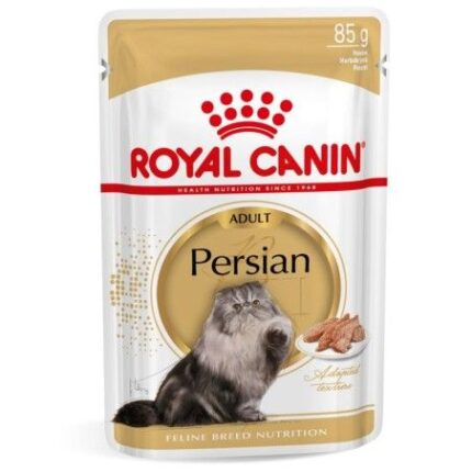 RC CAT PERSIAN gr 85