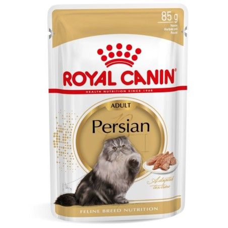 RC CAT PERSIAN gr 85 RC CAT PERSIAN gr 85