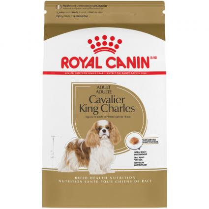 RC CAVALIER KING C.27 kg 1.5 RC CAVALIER KING C.27 kg 1.5