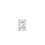 RC DOG DIABETIC LC gr 410