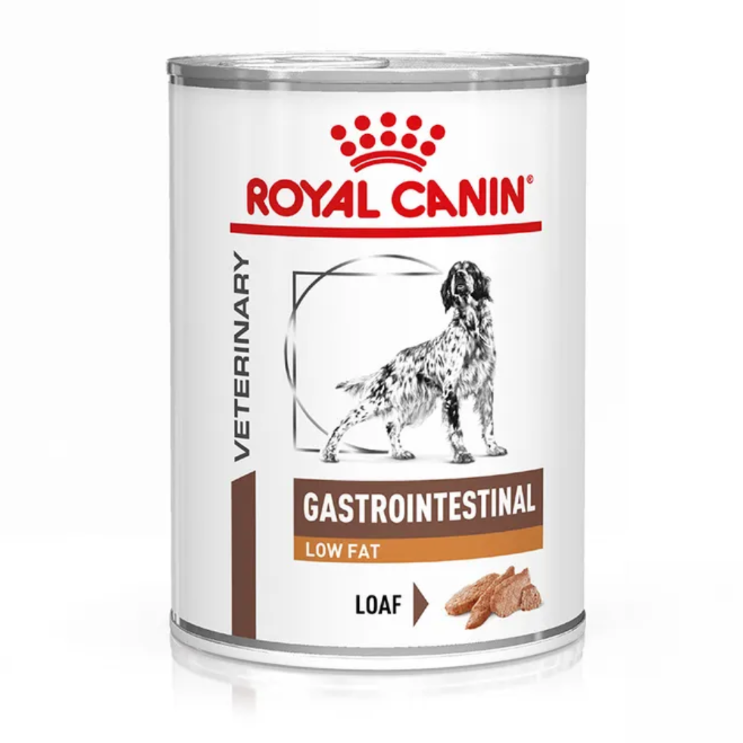 RC DOG GASTROINTESTINAL LOW FLAT gr 400 RC DOG GASTROINTESTINAL LOW FLAT gr 400