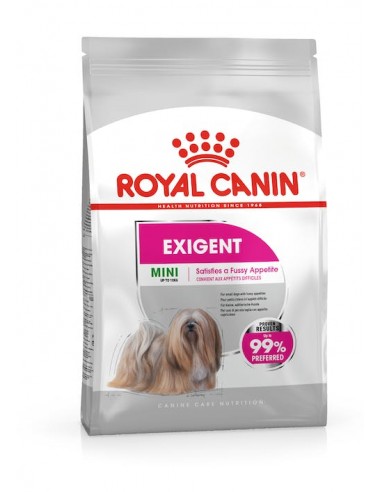 RC DOG MINI EXIGENT kg 3