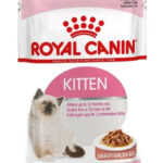 RC KITTEN INSTINCTIVE GRAVY gr 85