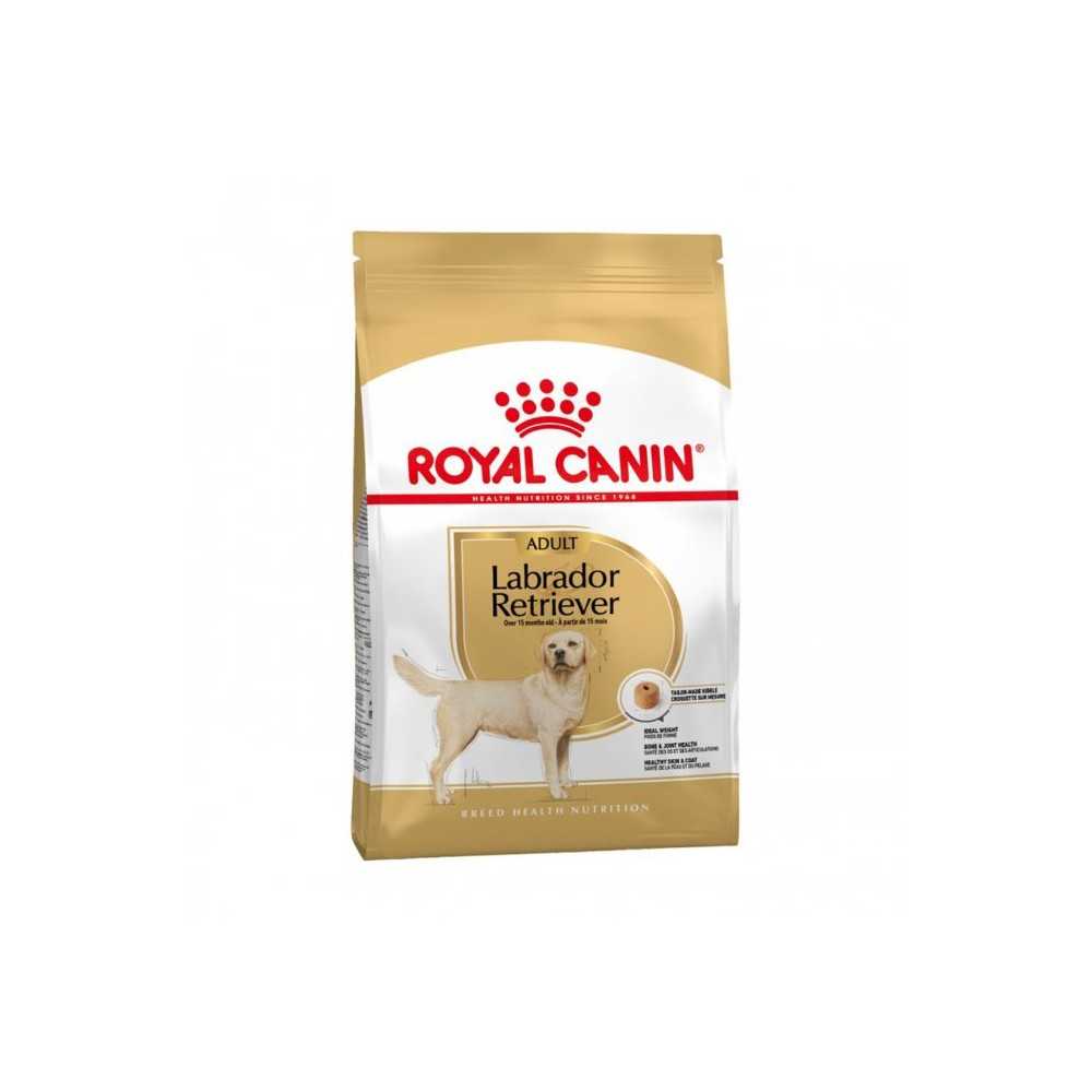 RC LABRADOR 30 ADULT kg 12 RC LABRADOR 30 ADULT kg 12