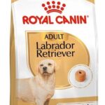 RC LABRADOR AD kg 12 *BS