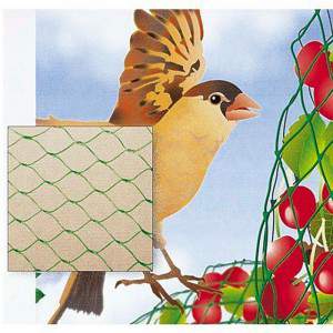 RETE ANTIUCCELLI NO BIRDS m 2x10 RETE ANTIUCCELLI NO BIRDS m 2x10