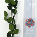 ROSA SINGOLA H.54 D.12cm Cod.9755