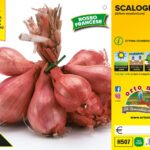 SCALOGNO ROSSO FRANCESE gr 500 Franchi