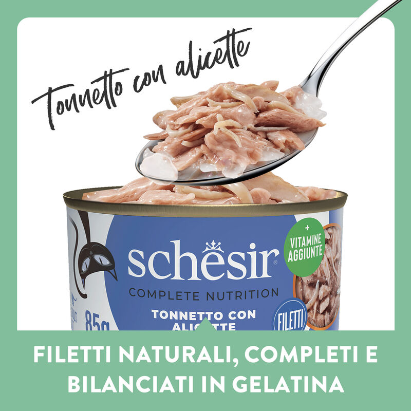 SCHESIR CAT gr 140 Tonno/Alicette Jelly SCHESIR CAT gr 140 Tonno/Alicette Jelly