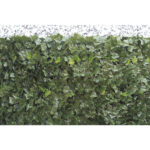 SEMPREVERDE FOGLIE EDERA POINT 1x3