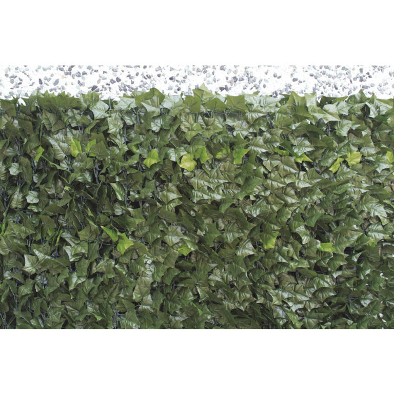 SEMPREVERDE FOGLIE EDERA POINT 1x3