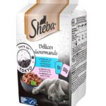 SHEBA DDJ gr 50x6 Del.Gou.Taste Tokyo