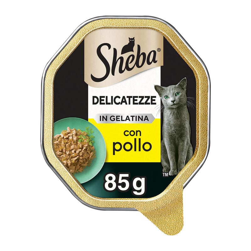 SHEBA gr 85 Pollo Gelatina SHEBA gr 85 Pollo Gelatina