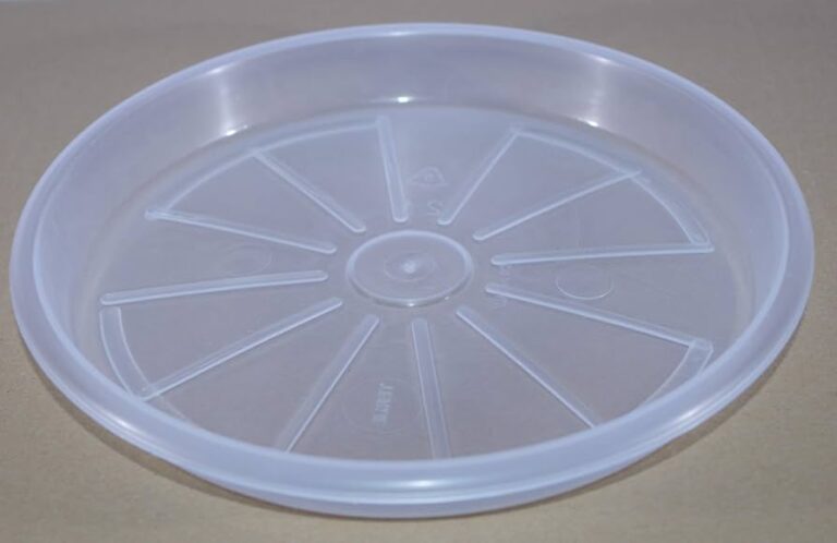 SOTTOVASO TERME cm 19 Trasparente