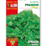 SPINACIO AMERICA gr 100 Franchi