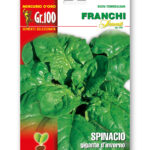 SPINACIO Gig. D'INVERNO gr 100 Franchi